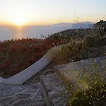 Bluebird Seabird Mykonos Town