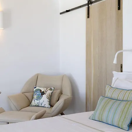 Bluebird Seabird Mykonos Town